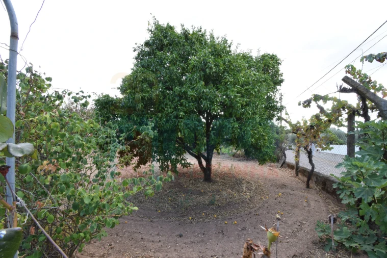 Terreno Agricola ou Rústico para Venda em Escalos de Baixo e Mata Foto 16