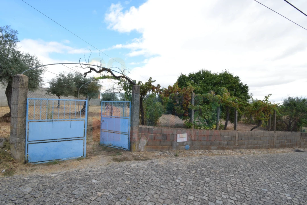 Terreno Agricola ou Rústico para Venda em Escalos de Baixo e Mata Foto 3