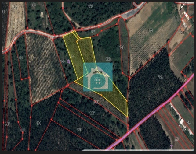 Terreno para Venda em Famalicão Foto 18