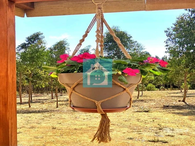 Terreno para Venda em Famalicão Foto 16