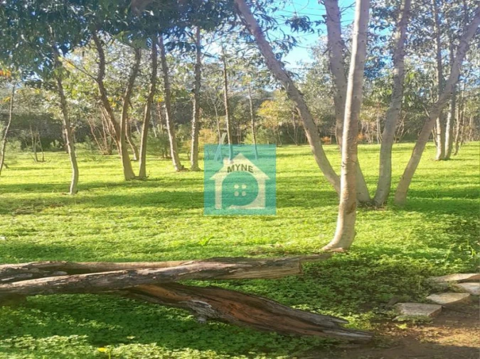 Terreno para Venda em Famalicão Foto 1