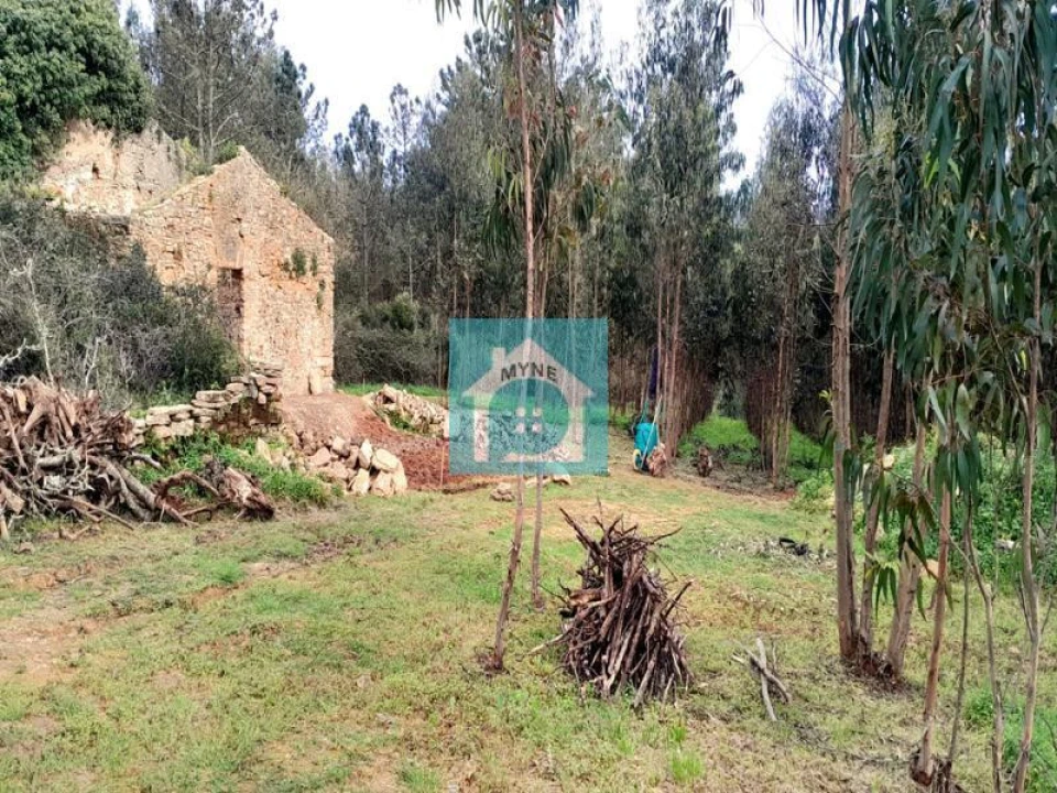 Terreno para Venda em Famalicão Foto 3