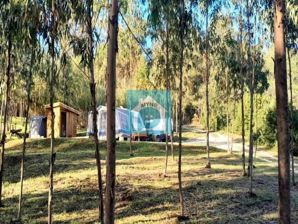 Terreno para Venda em Famalicão Foto 5