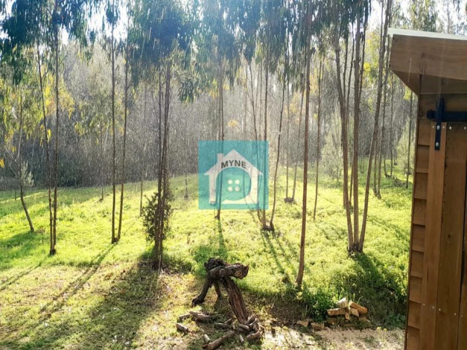 Terreno para Venda em Famalicão Foto 2