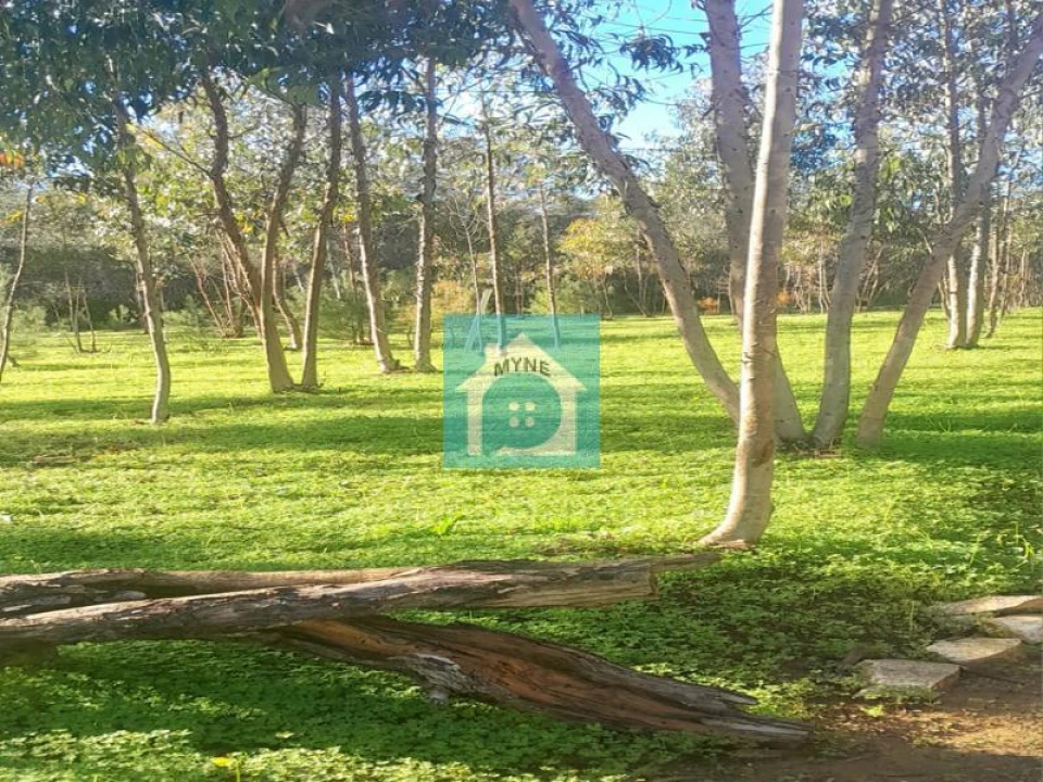 Terreno para Venda em Famalicão Foto 1