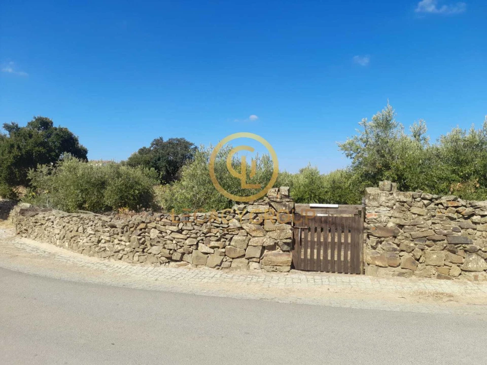 Terreno para Venda em São Miguel do Pinheiro, São Pedro de Solis, São Sebastião dos Carros Foto 9