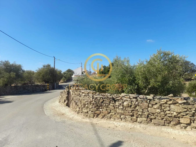 Terreno para Venda em São Miguel do Pinheiro, São Pedro de Solis, São Sebastião dos Carros Foto 17