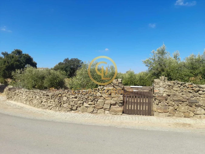 Terreno para Venda em São Miguel do Pinheiro, São Pedro de Solis, São Sebastião dos Carros Foto 9