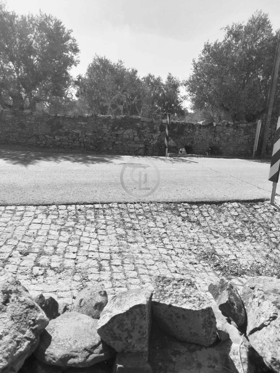Terreno para Venda em São Miguel do Pinheiro, São Pedro de Solis, São Sebastião dos Carros Foto 5