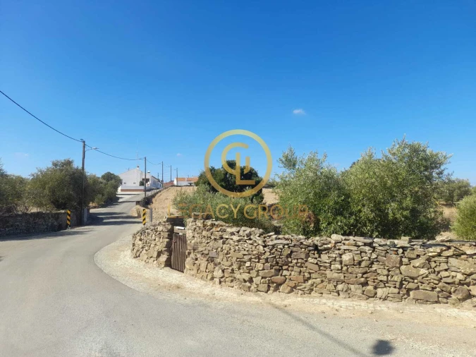 Terreno para Venda em São Miguel do Pinheiro, São Pedro de Solis, São Sebastião dos Carros Foto 16