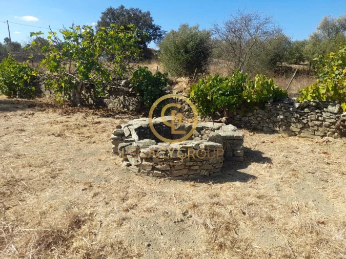 Terreno para Venda em São Miguel do Pinheiro, São Pedro de Solis, São Sebastião dos Carros Foto 4