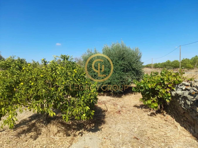 Terreno para Venda em São Miguel do Pinheiro, São Pedro de Solis, São Sebastião dos Carros Foto 13