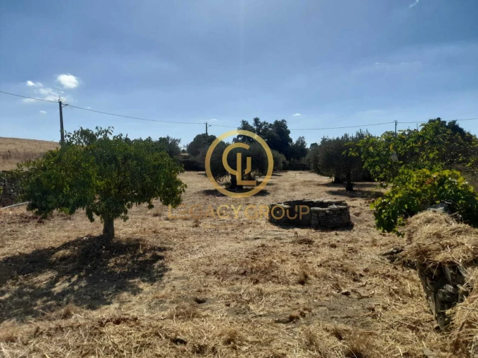 Terreno para Venda em São Miguel do Pinheiro, São Pedro de Solis, São Sebastião dos Carros