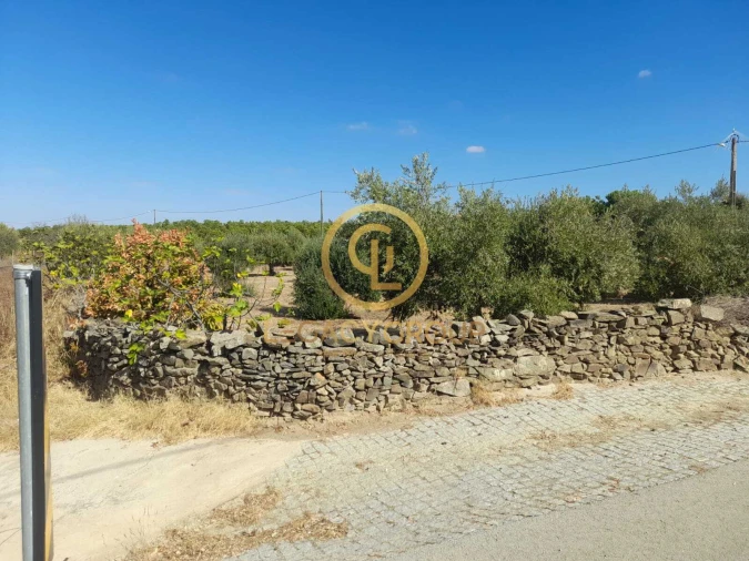 Terreno para Venda em São Miguel do Pinheiro, São Pedro de Solis, São Sebastião dos Carros Foto 15