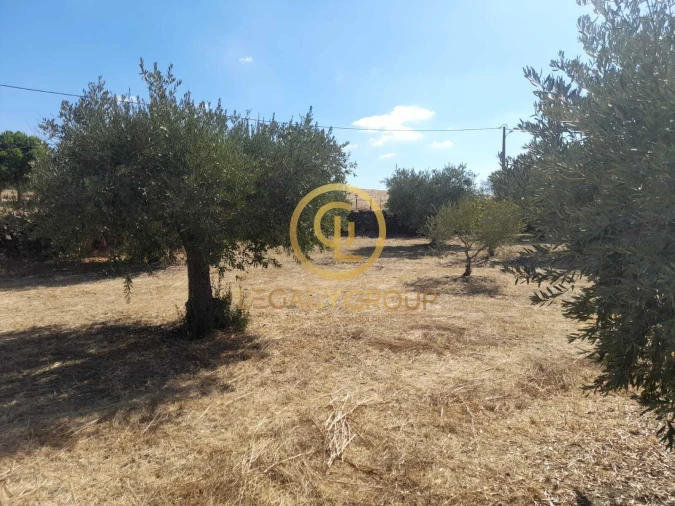 Terreno para Venda em São Miguel do Pinheiro, São Pedro de Solis, São Sebastião dos Carros Foto 8