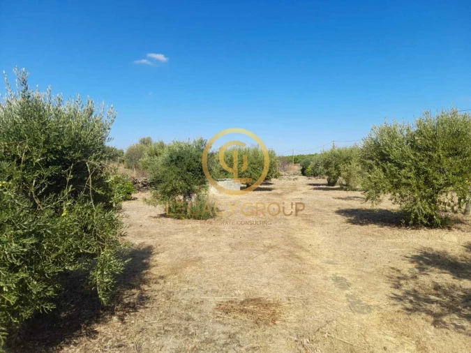 Terreno para Venda em São Miguel do Pinheiro, São Pedro de Solis, São Sebastião dos Carros Foto 20