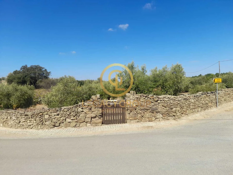 Terreno para Venda em São Miguel do Pinheiro, São Pedro de Solis, São Sebastião dos Carros Foto 11