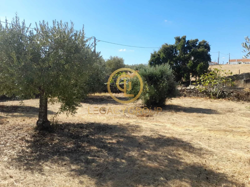 Terreno para Venda em São Miguel do Pinheiro, São Pedro de Solis, São Sebastião dos Carros Foto 2