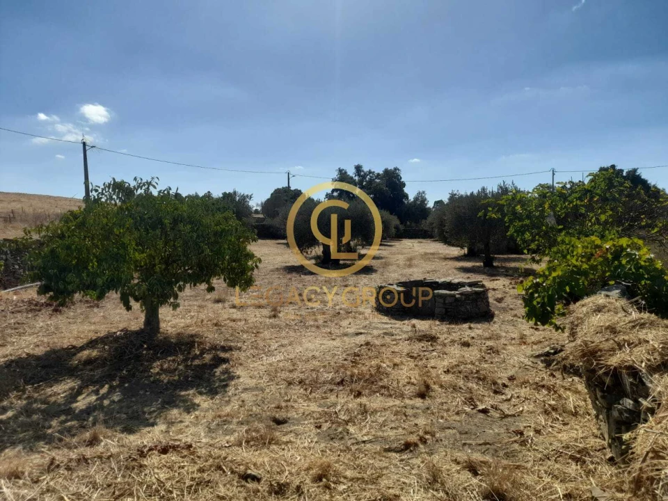 Terreno para Venda em São Miguel do Pinheiro, São Pedro de Solis, São Sebastião dos Carros Foto 1