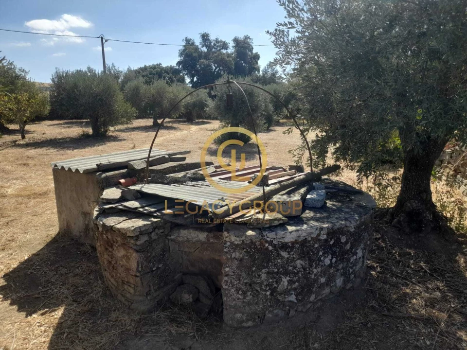 Terreno para Venda em São Miguel do Pinheiro, São Pedro de Solis, São Sebastião dos Carros Foto 10