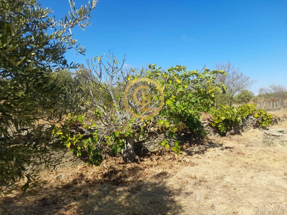 Terreno para Venda em São Miguel do Pinheiro, São Pedro de Solis, São Sebastião dos Carros Foto 7