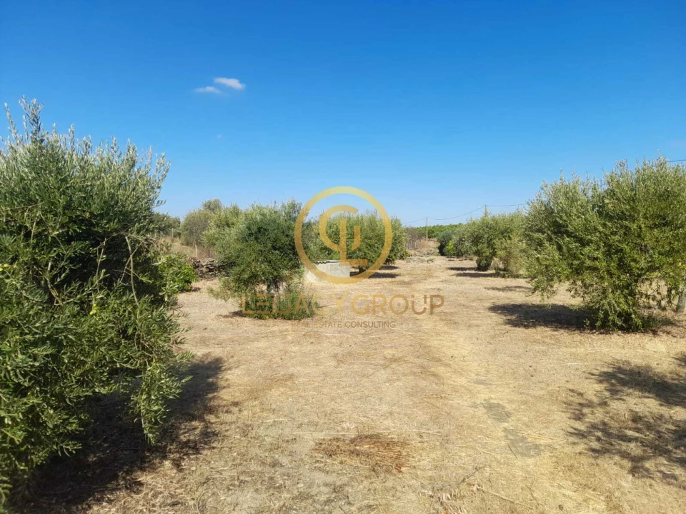 Terreno para Venda em São Miguel do Pinheiro, São Pedro de Solis, São Sebastião dos Carros Foto 20