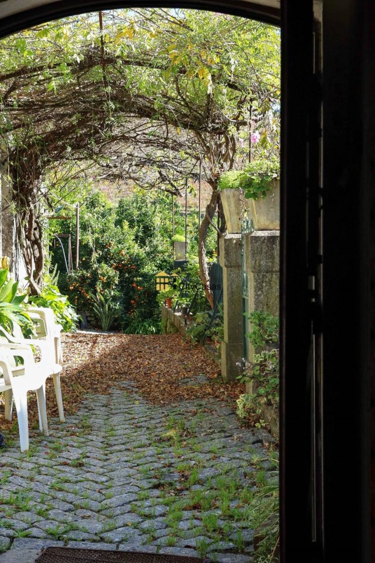 Quinta T10 para Venda em Vila Marim Foto 37