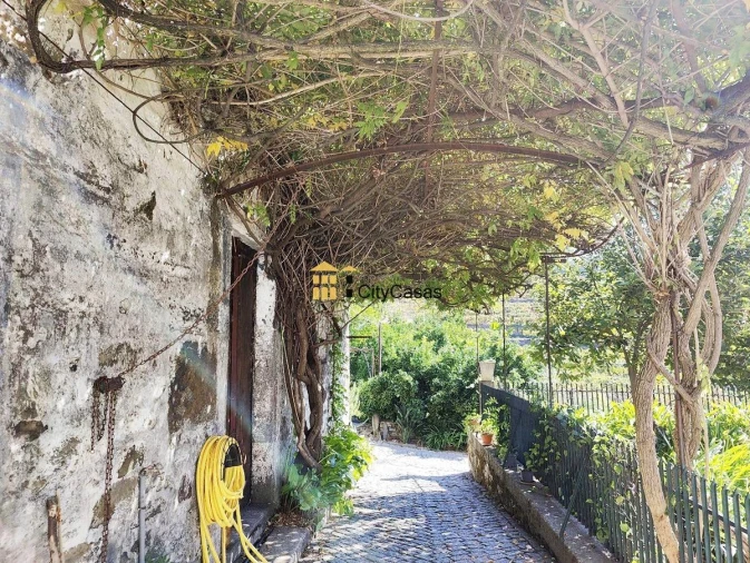 Quinta T10 para Venda em Vila Marim Foto 38