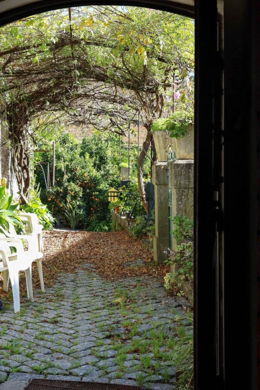 Quinta T10 para Venda em Vila Marim Foto 37