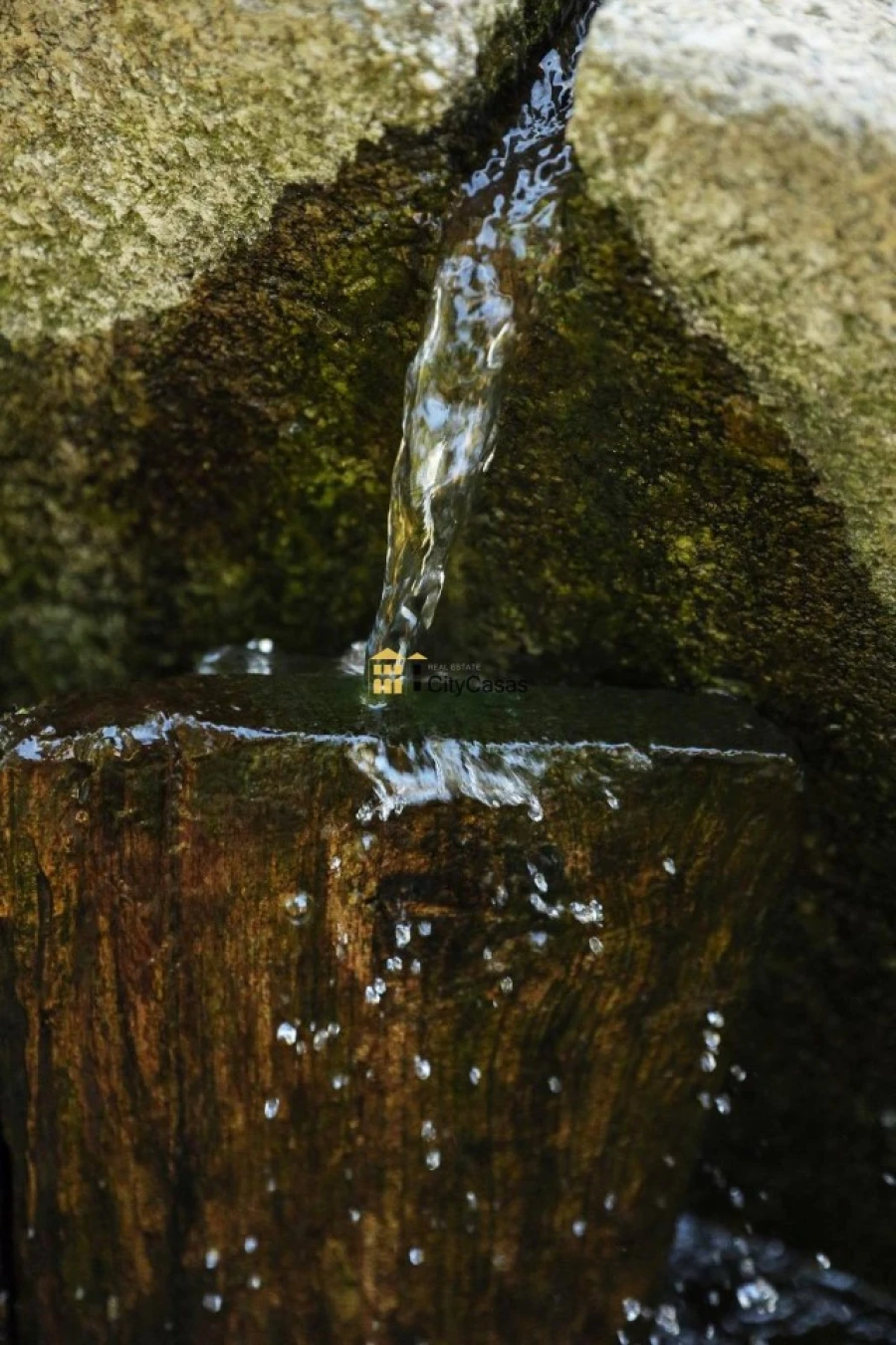 Quinta T10 para Venda em Vila Marim Foto 42