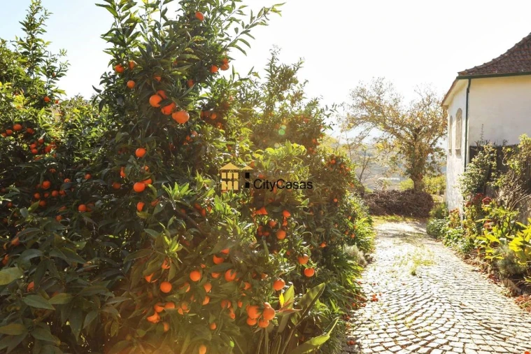 Quinta T10 para Venda em Vila Marim Foto 39