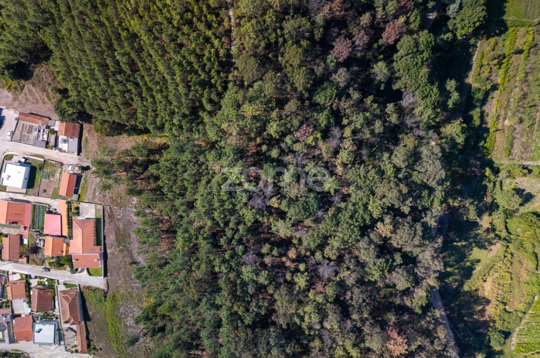 Terreno para Venda em Sobreira Foto 10