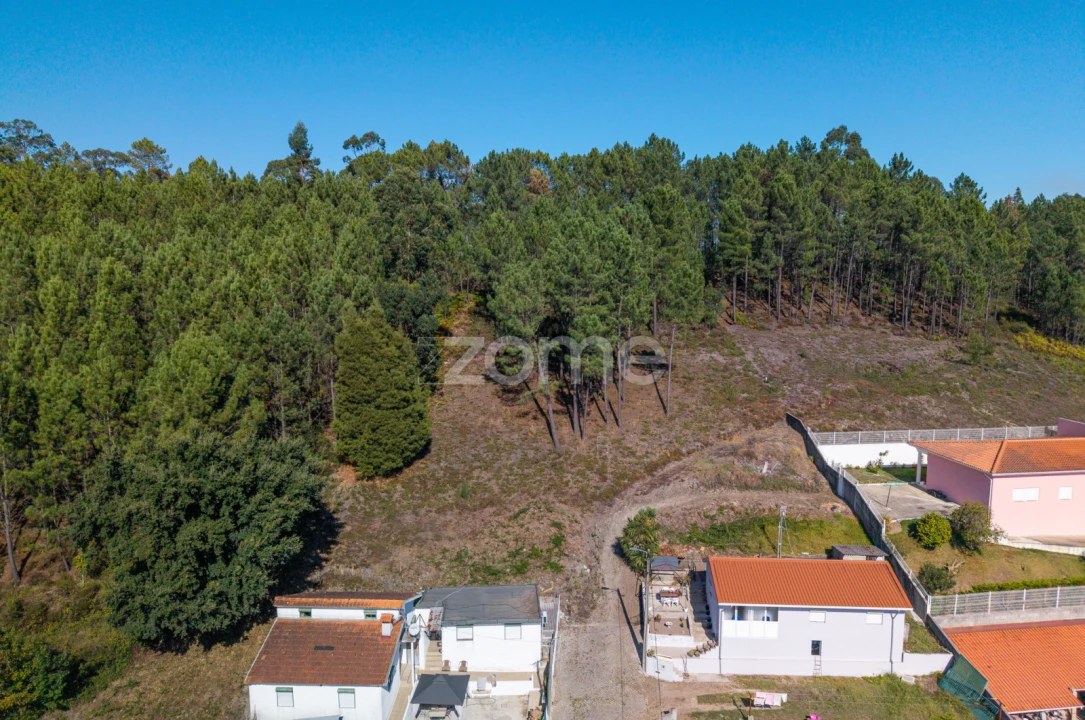 Terreno para Venda em Sobreira Foto 3