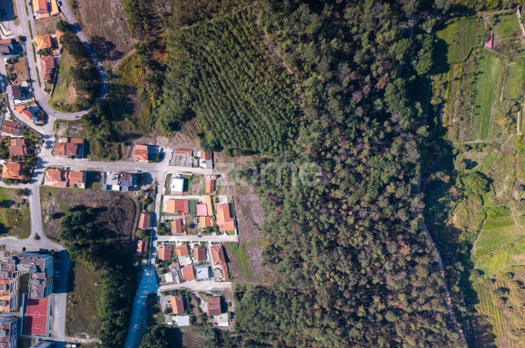 Terreno para Venda em Sobreira Foto 11