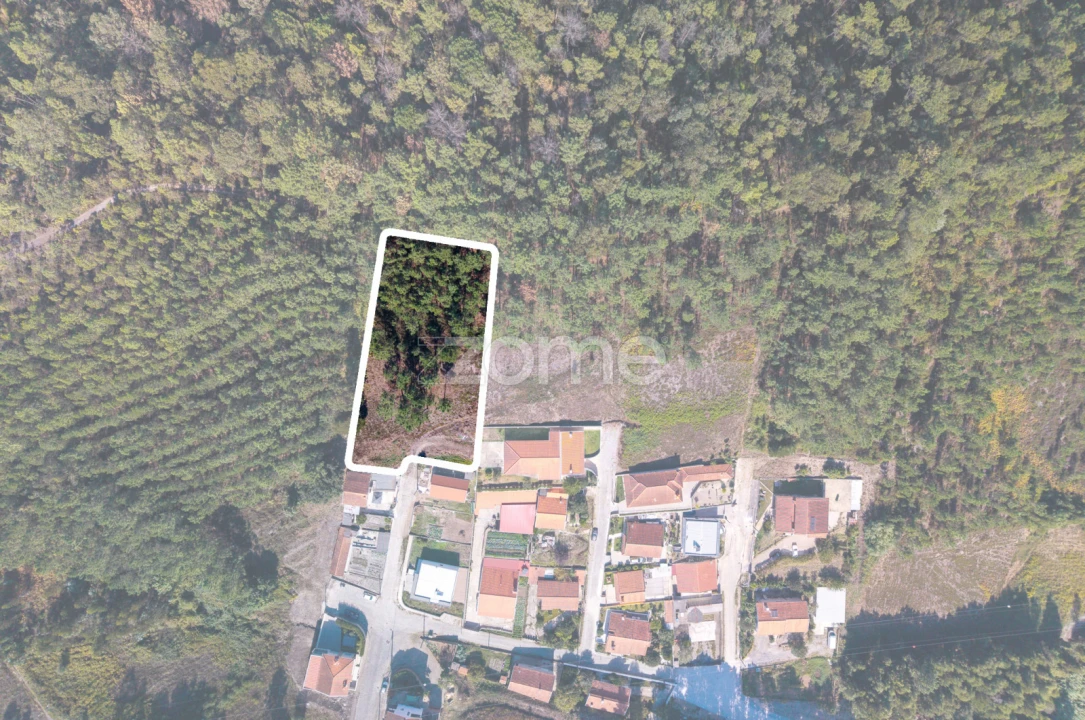 Terreno para Venda em Sobreira Foto 9