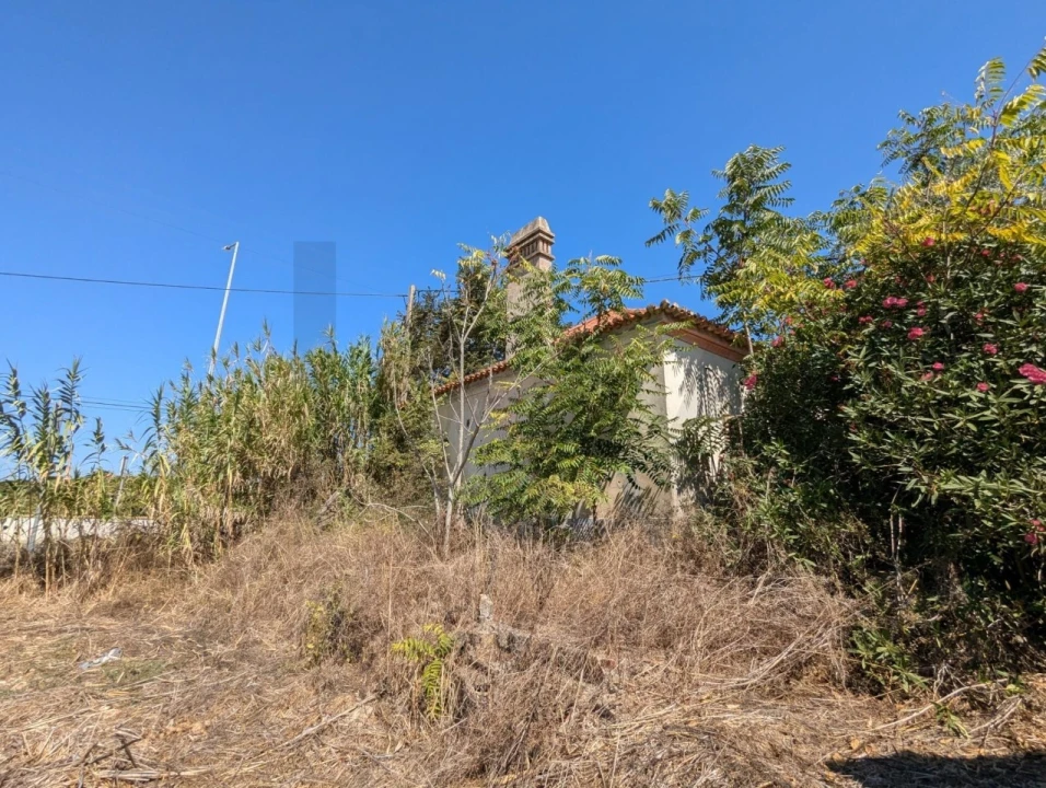 Quinta T3 para Venda em Santiago do Cacém, Santa Cruz e São Bartolomeu da Serra Foto 2