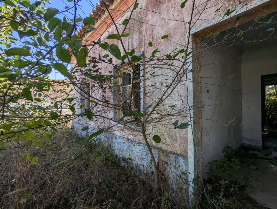 Quinta T3 para Venda em Santiago do Cacém, Santa Cruz e São Bartolomeu da Serra Foto 6