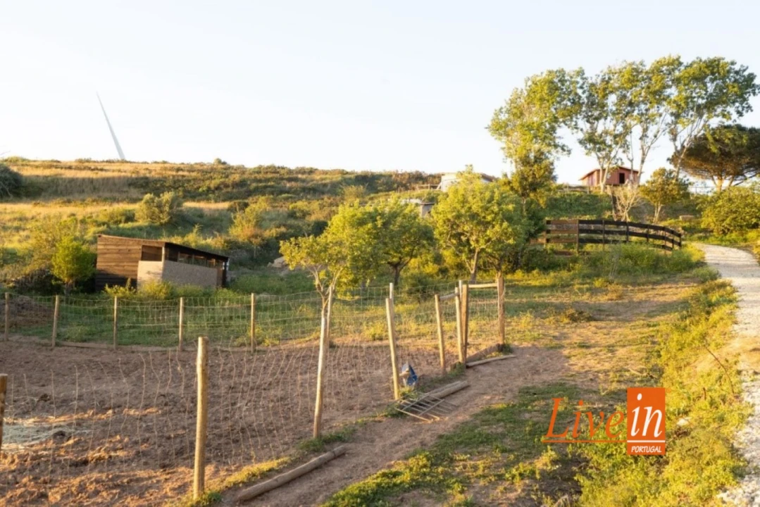 Quinta T2 para Venda em Enxara do Bispo, Gradil e Vila Franca do Rosário Foto 11