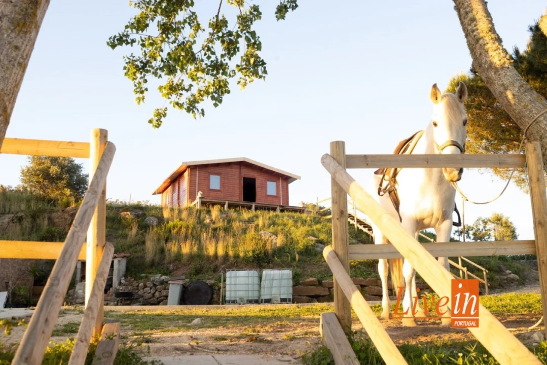 Terreno para Venda em Enxara do Bispo, Gradil e Vila Franca do Rosário Foto 3