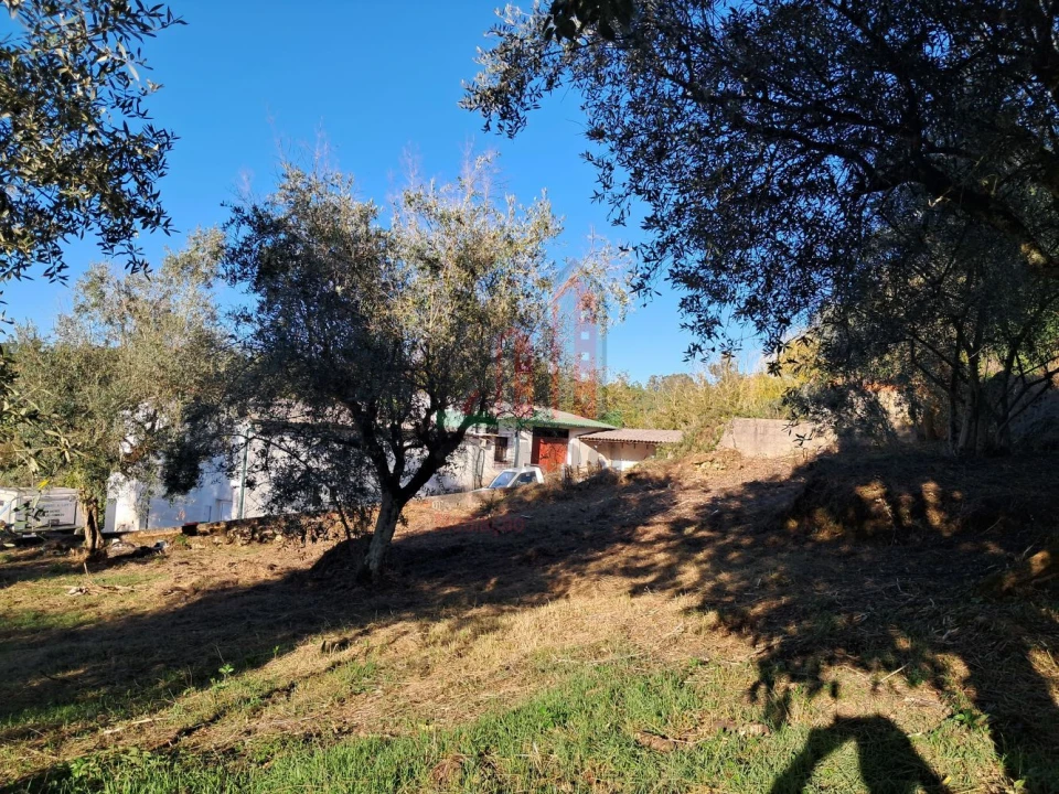 Terreno para Venda em Vila Seca e Bem da Fé Foto 13