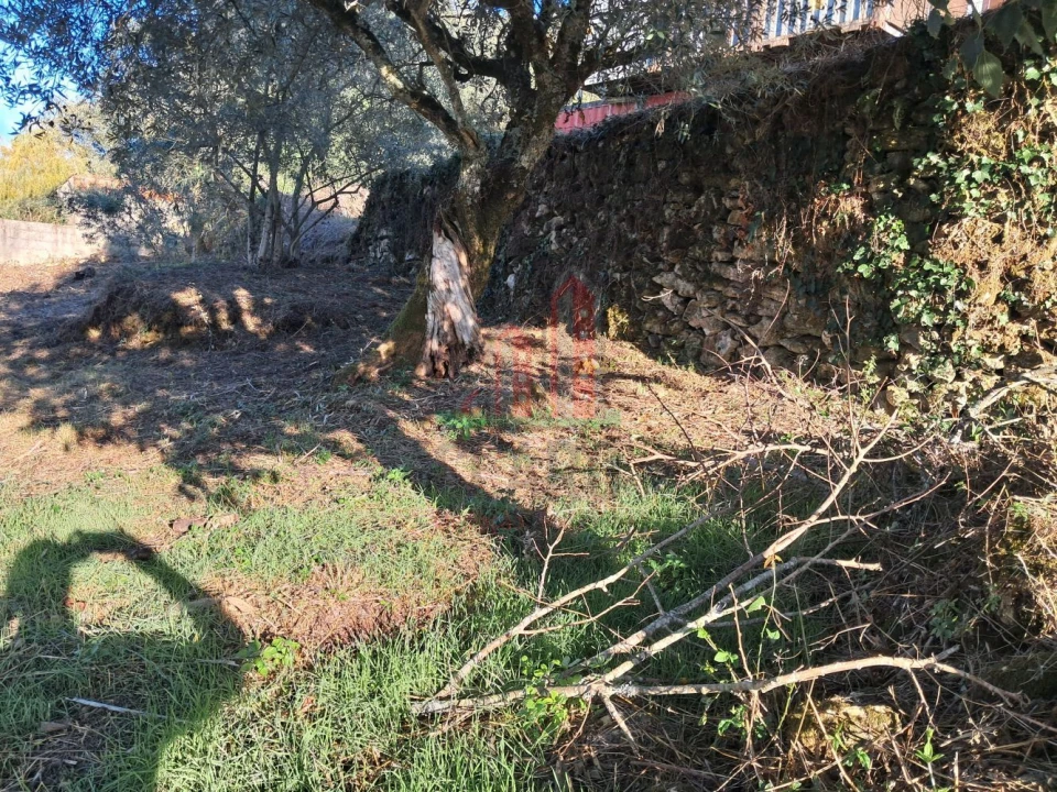 Terreno para Venda em Vila Seca e Bem da Fé Foto 16