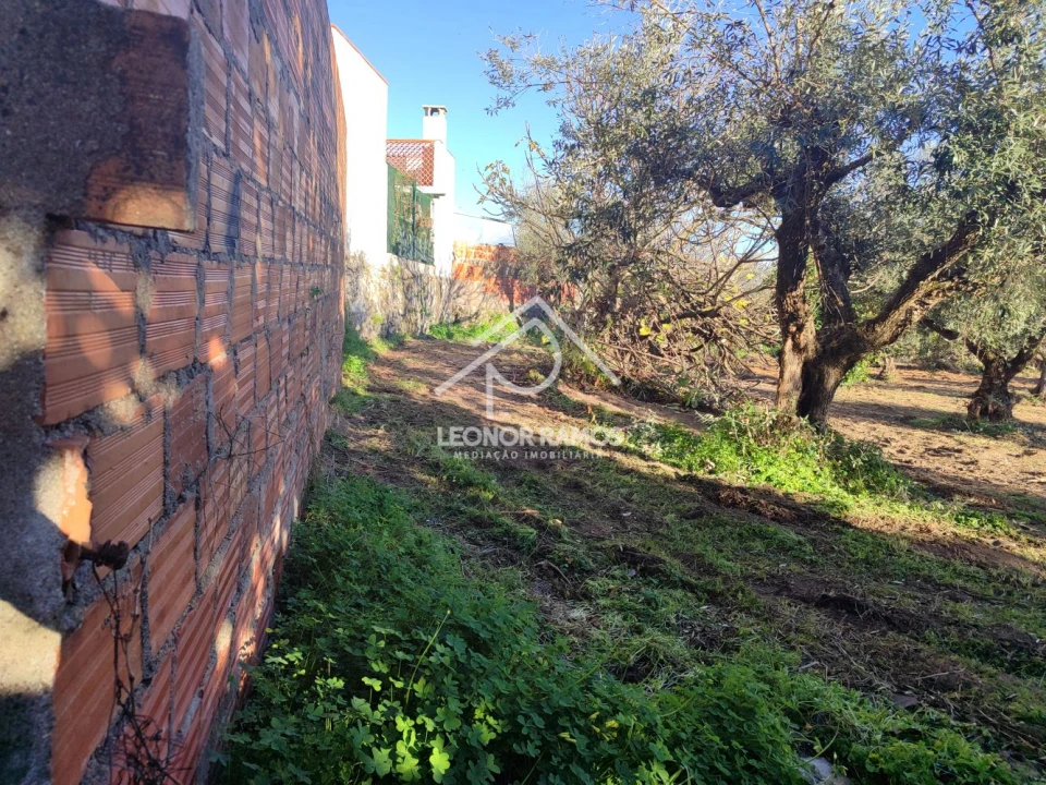 Moradia T2 para Venda em Castelo Branco Foto 10