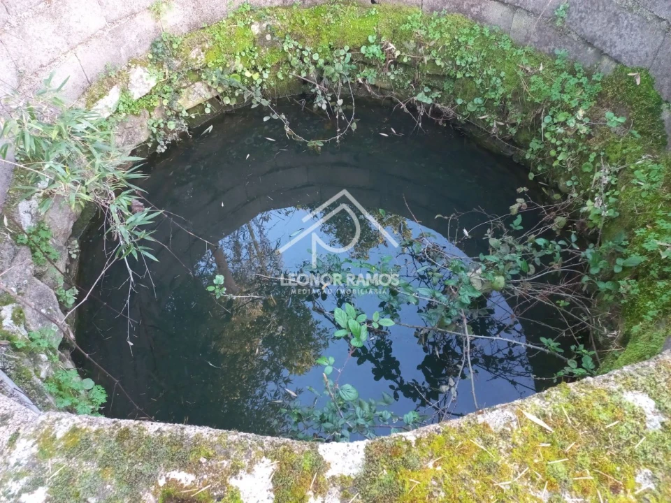 Quinta T1 para Venda em Escalos de Cima e Lousa Foto 24