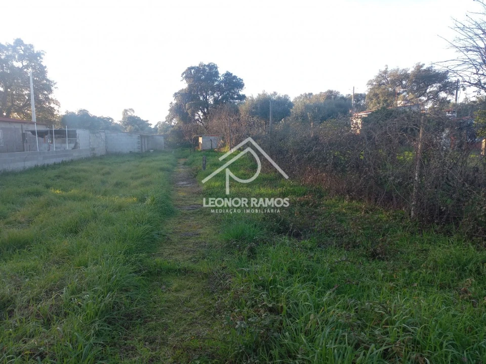 Quinta T1 para Venda em Escalos de Cima e Lousa Foto 30