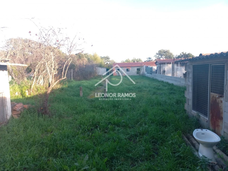 Quinta T1 para Venda em Escalos de Cima e Lousa Foto 2