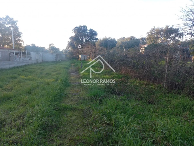 Quinta T1 para Venda em Escalos de Cima e Lousa Foto 30