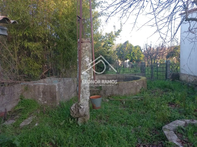 Quinta T1 para Venda em Escalos de Cima e Lousa Foto 5