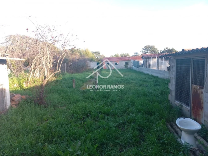 Quinta T1 para Venda em Escalos de Cima e Lousa Foto 2