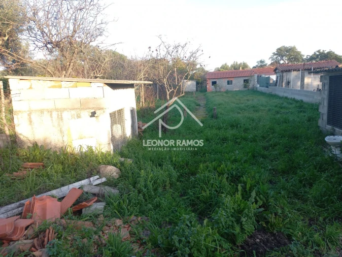 Quinta T1 para Venda em Escalos de Cima e Lousa Foto 34