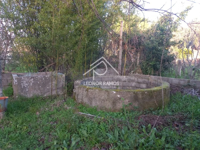 Quinta T1 para Venda em Escalos de Cima e Lousa Foto 23